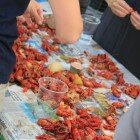 CoHabitat Hosts its 3rd Annual Crawfish Boil